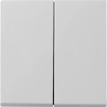 Bouton bascule 2 postes Gira System 55, gris 0295015