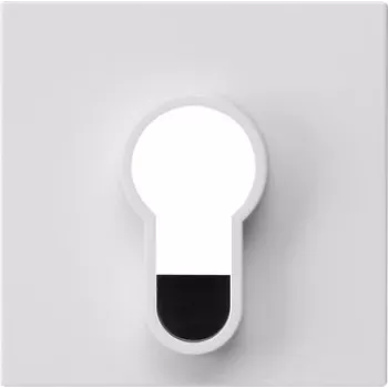 Cache Gira pour interrupteur à clé, System 55, blanc pur brillant, 55 x 55 mm 866403