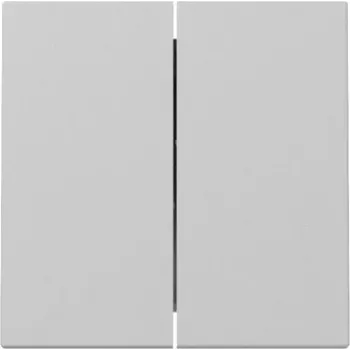 Bouton bascule Gira System 55 2 postes gris mat 3295015