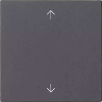 Bouton bascule Gira 1 poste anthracite 538928