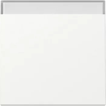 Bouton GIRA System 55 avec champ d'étiquetage, blanc pur mat, 329927