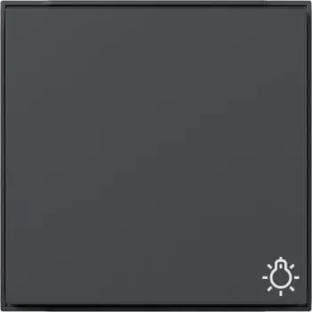 Bouton Gira TX44 avec symbole lumière et LED de contrôle, anthracite 328567