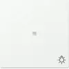 Bascule GIRA avec fonction de contrôle et symbole lumineux, System 55, blanc mat (367427)