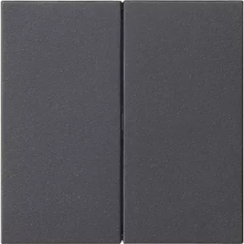 Commande Gira 536228 2 postes, anthracite