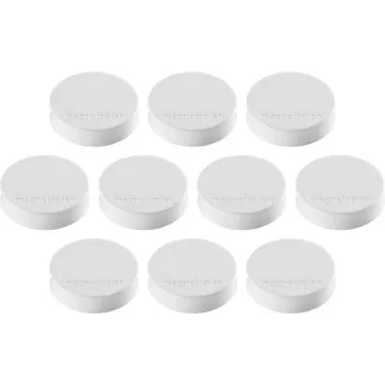 Aimant en ferrite Magnetoplan Ergo-Magnete Medium blanc, 30 mm, 1 pièce 1664000
