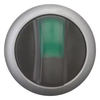 Eaton M22-WLK3-G interrupteur à bascule, noir/vert/argent 216837