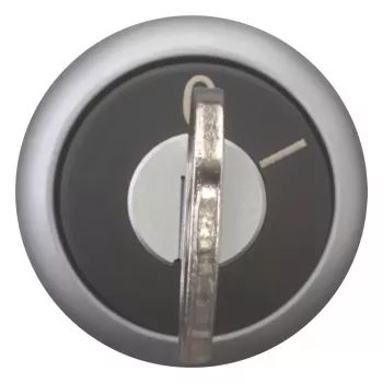 Eaton M22-WRS-MS2 interrupteur à clé, noir/titane 111778