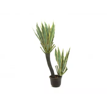 EUROPALMS plante artificielle cactus orchidée, 160 cm 82809035