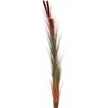 EUROPALMS roseau artificiel avec massettes, brun clair, 152 cm 82505856