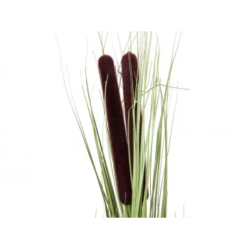 EUROPALMS roseau artificiel avec épis, vert clair, 152 cm 82505855