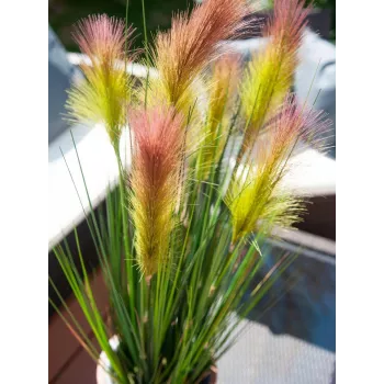 EUROPALMS herbe à plumes artificielle, rosé, 90 cm 82505865