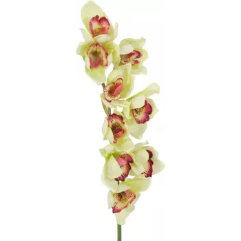 EUROPALMS branche d'orchidée cymbidium artificielle, verte, 90 cm 82530313
