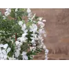 EUROPALMS cytise artificiel, fleurs blanches, 180 cm 82507106