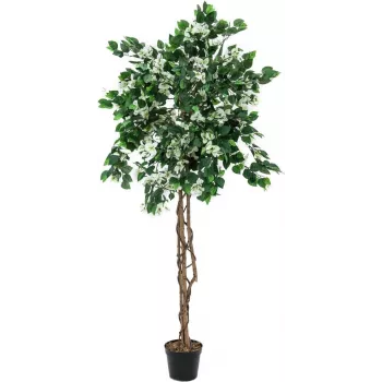 Plante artificielle Bougainvillea EUROPALMS, blanche, 180 cm 82507086