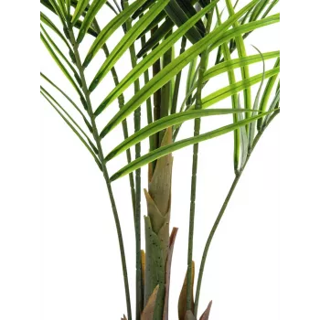 Plante artificielle Areca à grandes feuilles EUROPALMS, 165 cm 82509441