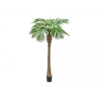 Palmier Phoenix Luxor artificiel EUROPALMS, 240 cm 82510722