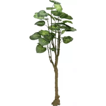Plante artificielle arbre Pothos EUROPALMS 175 cm 82600163