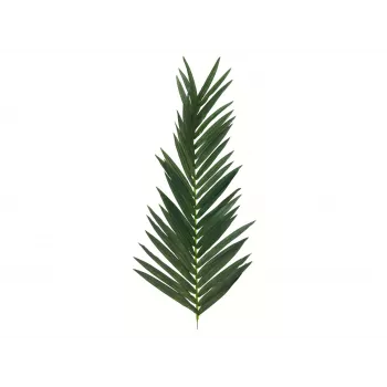 Palme de cocotier artificielle EUROPALMS, 150 cm 82509845