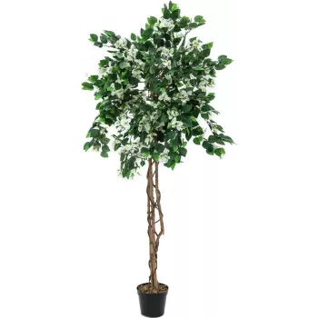 Plante artificielle Bougainvillea EUROPALMS, blanche, 150 cm 82507085