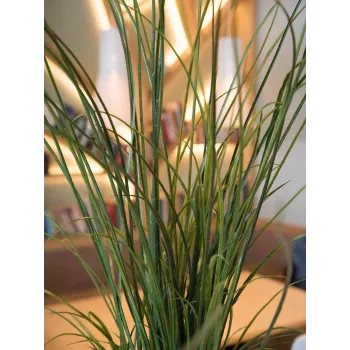 Herbe de roseau artificielle EUROPALMS, 145 cm, vert/marron, pré-rempotée 82600229