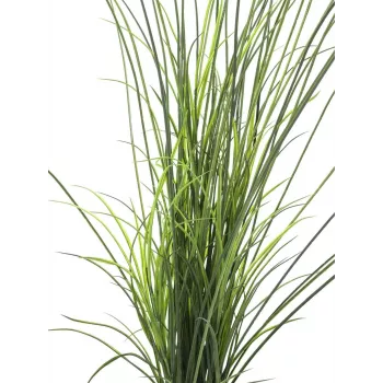 Herbe de roseau artificielle EUROPALMS, 145 cm, vert/marron, pré-rempotée 82600229