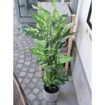 Dieffenbachia artificielle EUROPALMS 120 cm 82508306