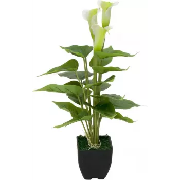 Calla mini EUROPALMS, plante artificielle de calla, blanche, 43 cm 82540347