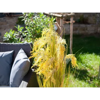 Bouquet d'herbe de roseau artificielle EUROPALMS, 118 cm 82600136