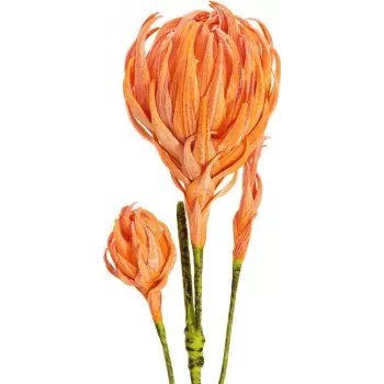 EUROPALMS Branche de dahlia artificielle (EVA), orange 82530582
