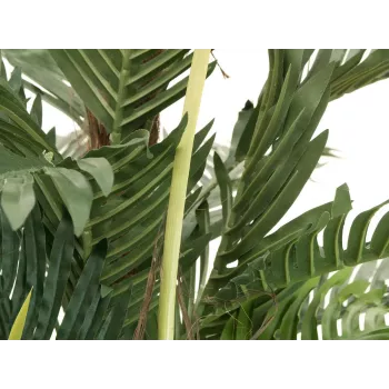 EUROPALMS Palmier Kentia plante artificielle 180 cm 82511367