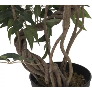 EUROPALMS Ficus Multi Spiral Trunk plante artificielle, 130 cm 82806314