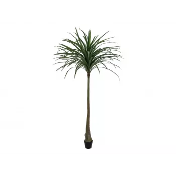 EUROPALMS Dracena plante artificielle, vert, 220 cm 82505798