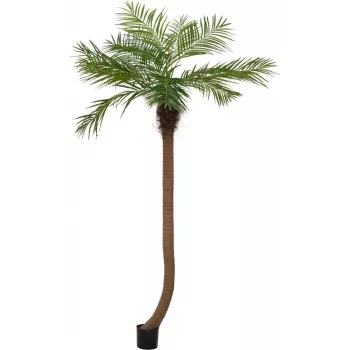 EUROPALMS Luxor palmier Phoenix artificiel incurvé, 240 cm 82510726