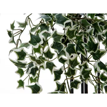 EUROPALMS Holland Ivy Hedge Screen Classic, artificiel, 60cm 82502210