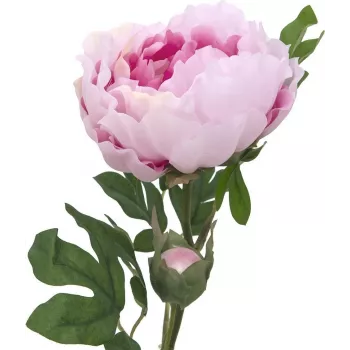 EUROPALMS Peony Branch Classic, plante artificielle, rose, 80 cm 82530210