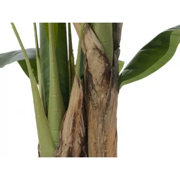 EUROPALMS bananier artificiel, 120 cm, feuilles vertes réalistes, pot noir 82509537