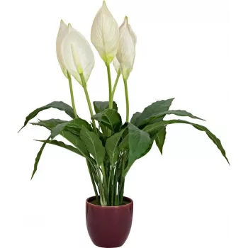 EUROPALMS lys de la paix artificiel, 60 cm 82505660