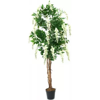 Plante artificielle EUROPALMS Goldregen, blanc, 150 cm (82507105)
