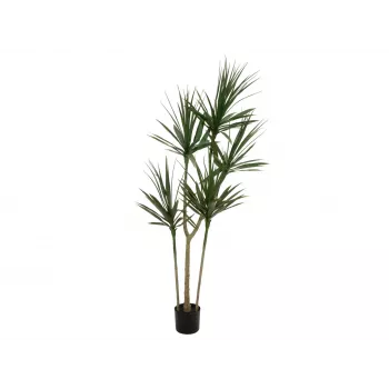 Plante artificielle EUROPALMS Dracena, verte, 170 cm 82505799