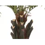 EUROPALMS Palmier Kentia Deluxe Plante artificielle 300 cm 82511370