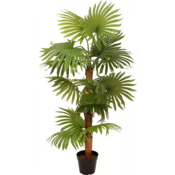 Plante artificielle palmier éventail EUROPALMS 130 cm 82509302