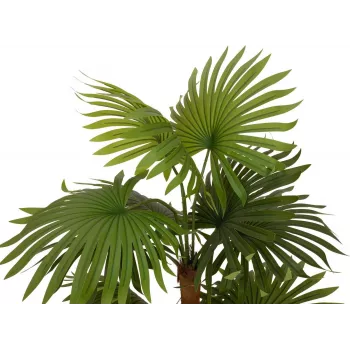 Plante artificielle palmier éventail EUROPALMS 130 cm 82509302