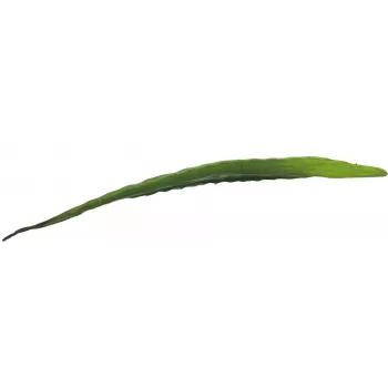 EUROPALMS feuille d'aloe artificielle (EVA), vert, 60 cm 82530581