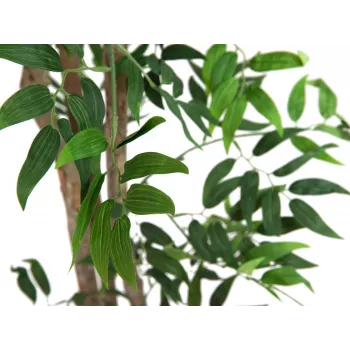 EUROPALMS Ficus Longifolia plante artificielle, 165 cm 82506350