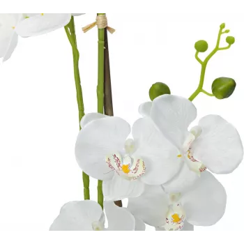 EUROPALMS orchidée plante artificielle, blanc, 80 cm (82530362)
