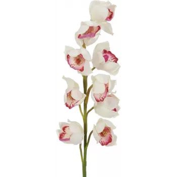 EUROPALMS branche de Cymbidium, artificielle, blanc-rose, 90 cm 82530312