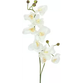 EUROPALMS branche d'orchidée artificielle, crème-blanc, 100 cm (82530323)