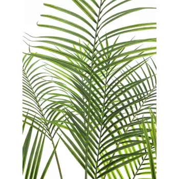 EUROPALMS Großblatt-Areca palmier Areca artificiel, 185 cm (82509442)