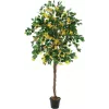 EUROPALMS plante artificielle Bougainvillea, jaune, 180 cm 82507081