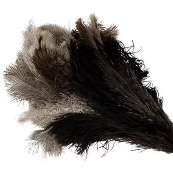 Plumeau en plumes d'autruche Bürstenhaus Redecker avec tête moyenne, manche en hêtre, 50 cm 468807